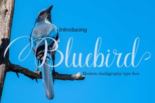 Bluebird Font: A Delicate Script for Web Design