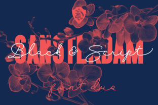 Sansterdam: A Bold Script Font for Modern Marketing